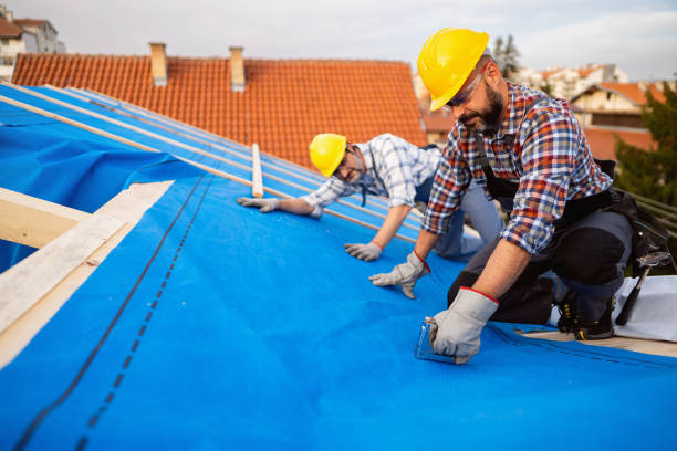 Best Roof Ventilation Installation  in Prudenville, MI